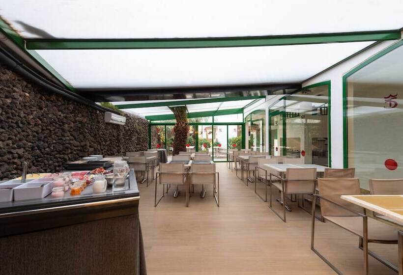 Tc Apartamentos Dorotea