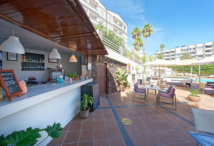 Tc Apartamentos Dorotea