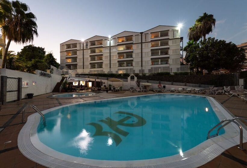 Tc Apartamentos Dorotea