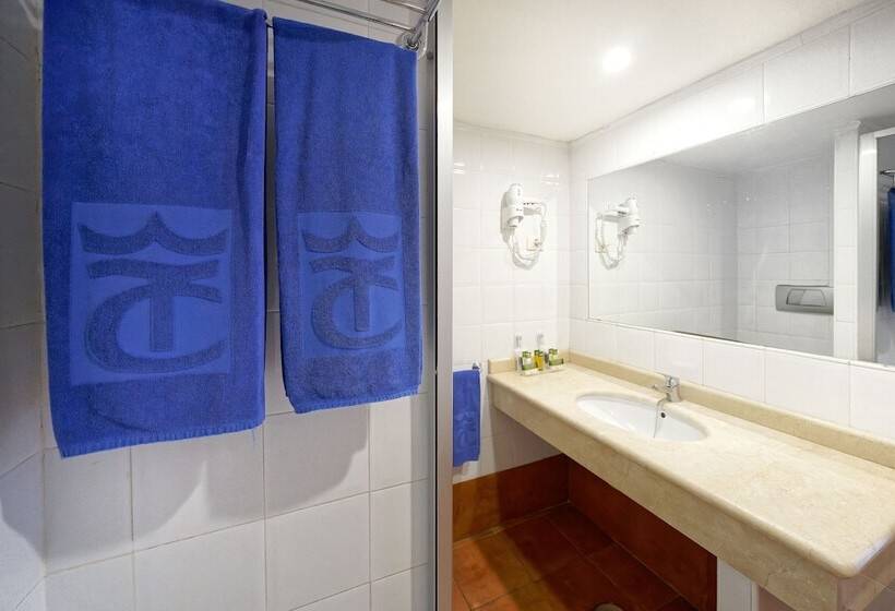 Tc Apartamentos Dorotea