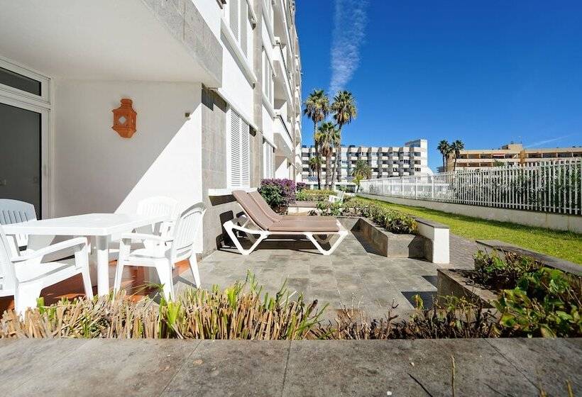 Tc Apartamentos Dorotea