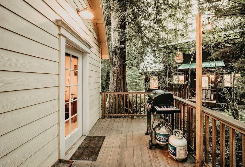 01sl Hot Tub Pets Ok Bbq Wifi   Sleeps 8