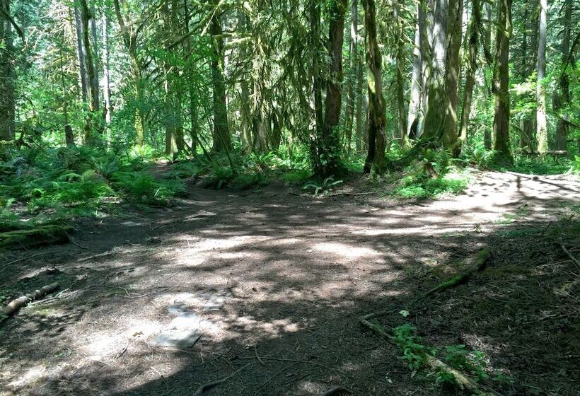 04sl   Hot Tub   Bbq   Pets Ok   Sleeps 5