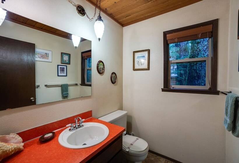 35sl   A/c   Pets Ok   Fireplace   Sleeps 6