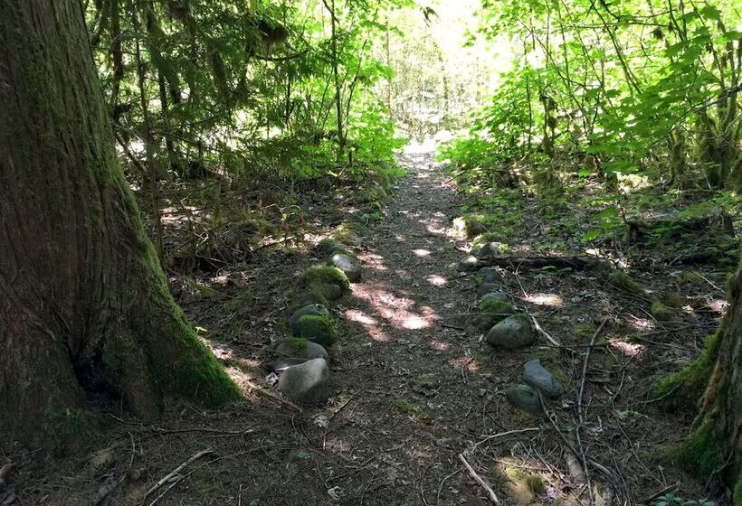 63mbr   Hot Tub   Bbq   Pets Ok   Wifi   Sleeps 6