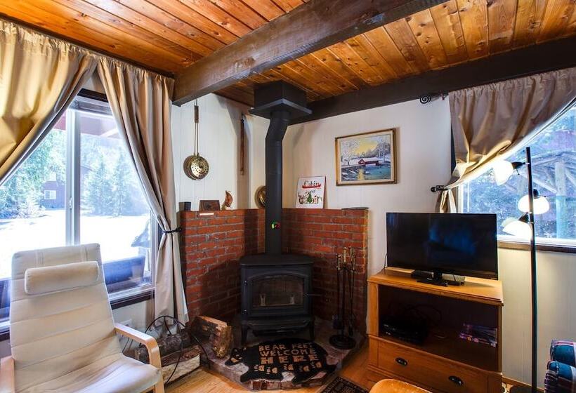 63mbr   Hot Tub   Bbq   Pets Ok   Wifi   Sleeps 6