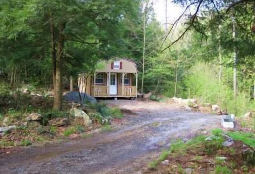 Abrams Creek Campground