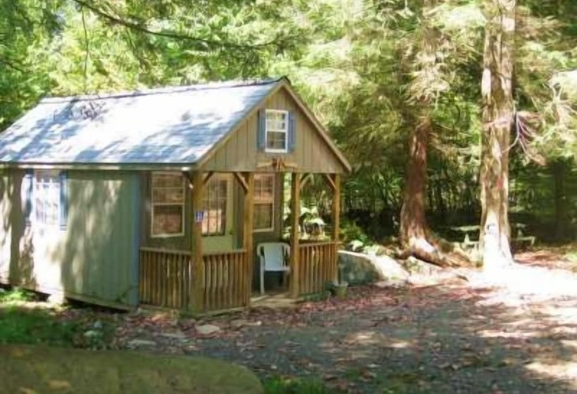 Abrams Creek Campground