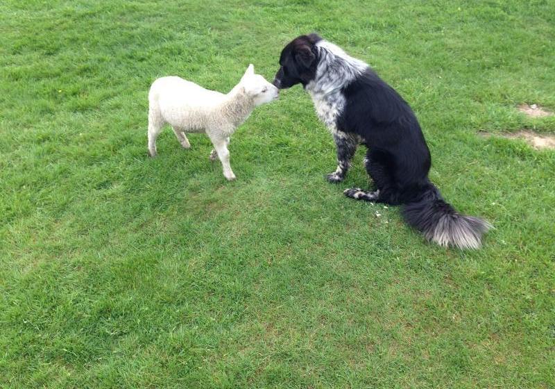 Acorn Court Country House