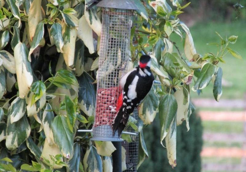 Acorn Court Country House