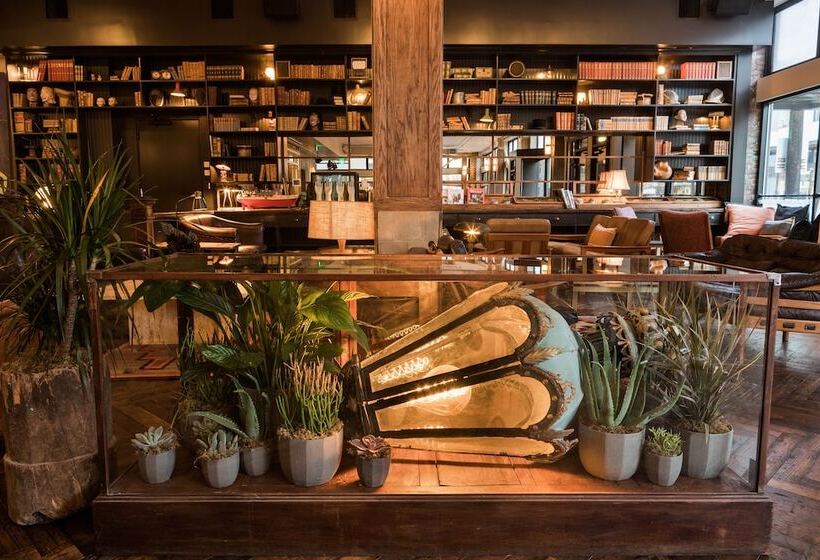 هاستل Kex Portland