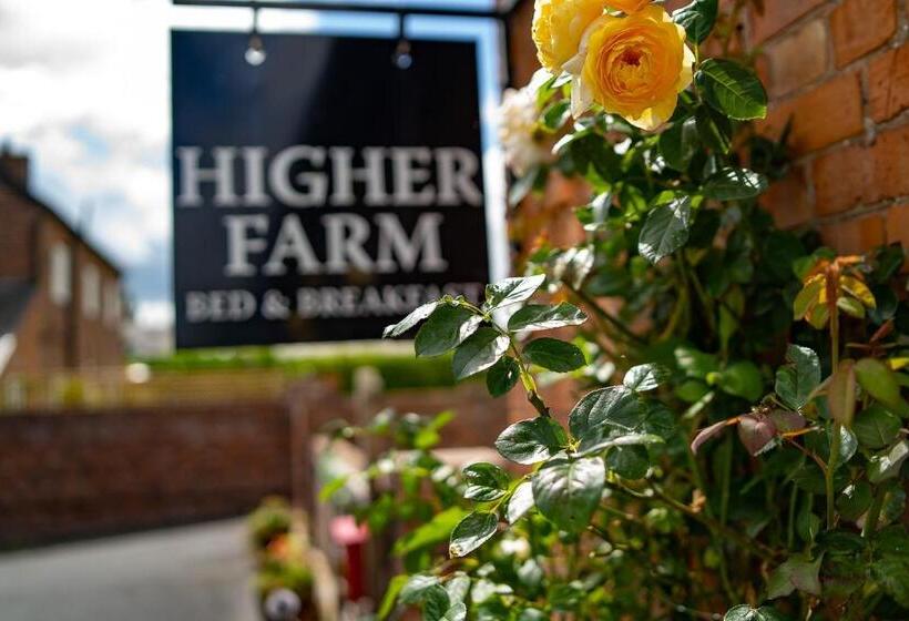 住宿加早餐  Higher Farm