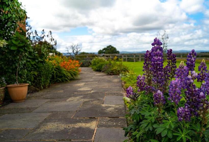 住宿加早餐  Higher Farm