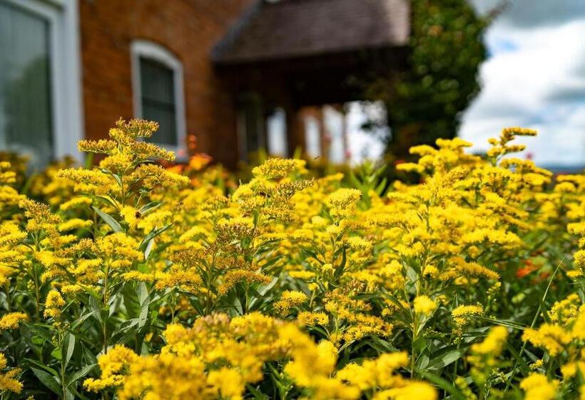 住宿加早餐 Higher Farm