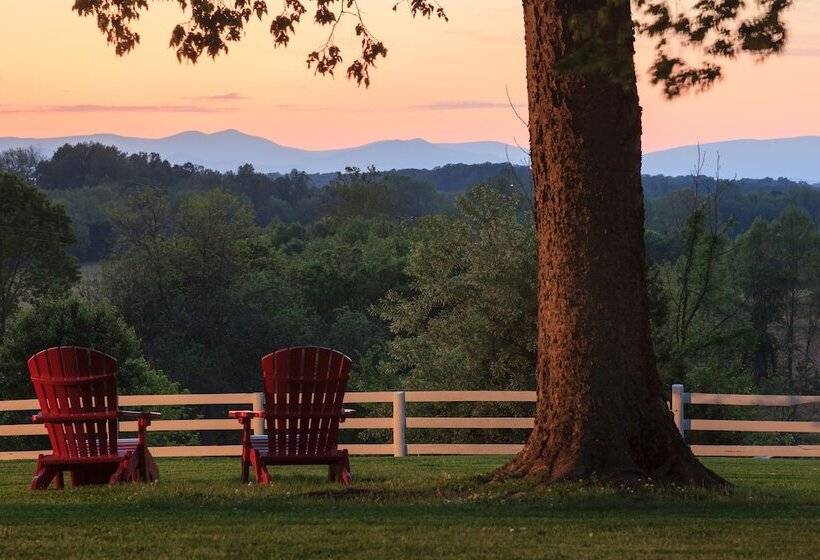 ベッドアンドブレックファースト Inn And Tavern At Meander