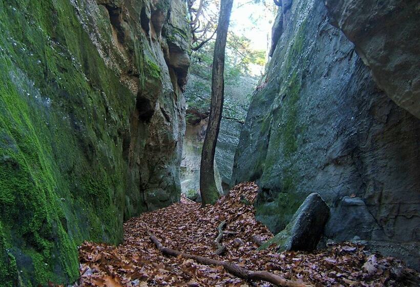 مبيت وإفطار River House Lodge