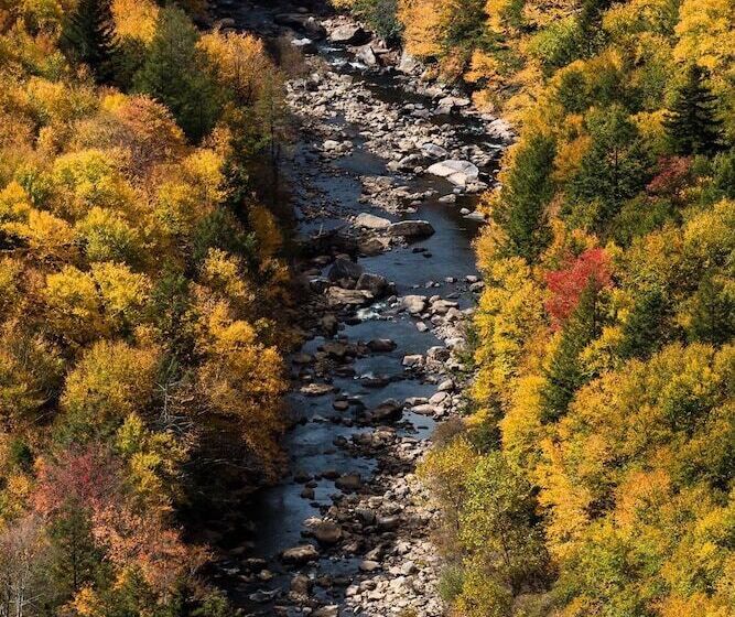 مبيت وإفطار River House Lodge