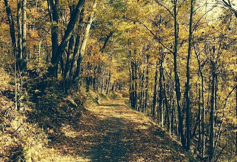 مبيت وإفطار River House Lodge