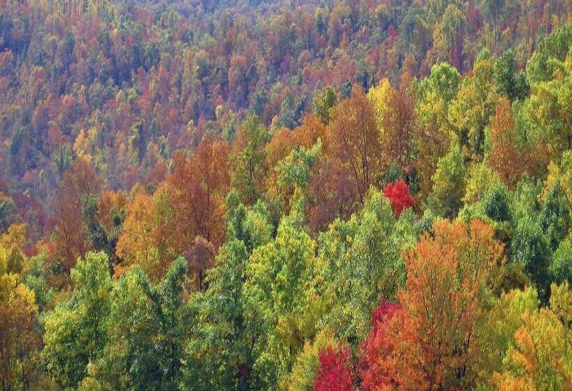 مبيت وإفطار River House Lodge