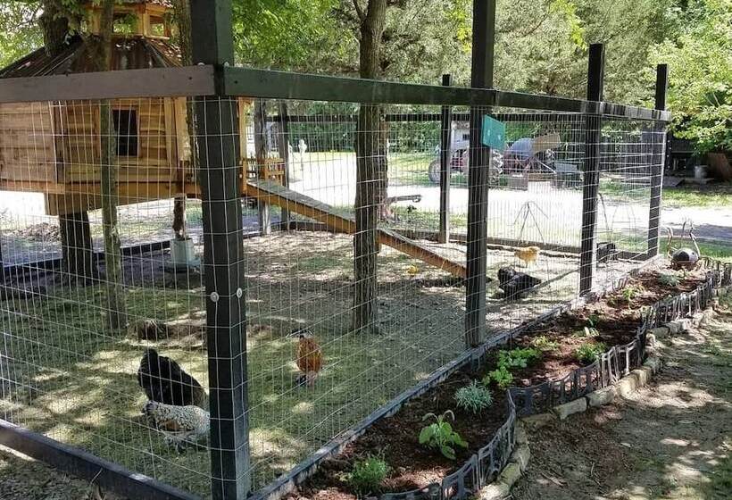 مبيت وإفطار Savannah S Meadow