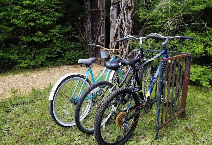 مبيت وإفطار Savannah S Meadow