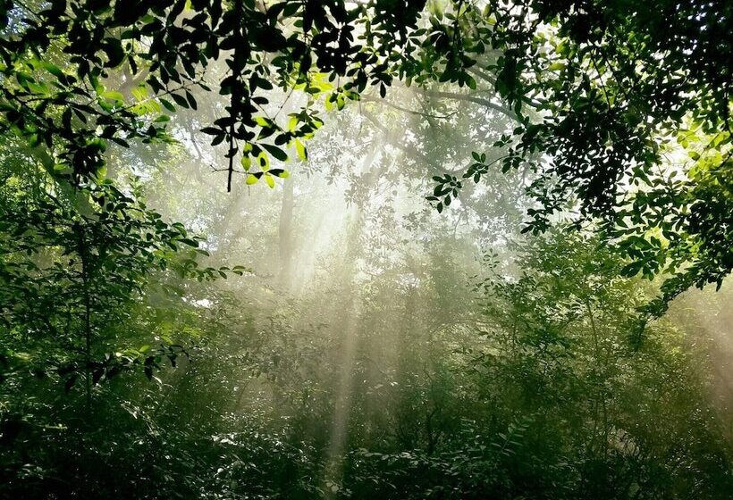 مبيت وإفطار Savannah S Meadow