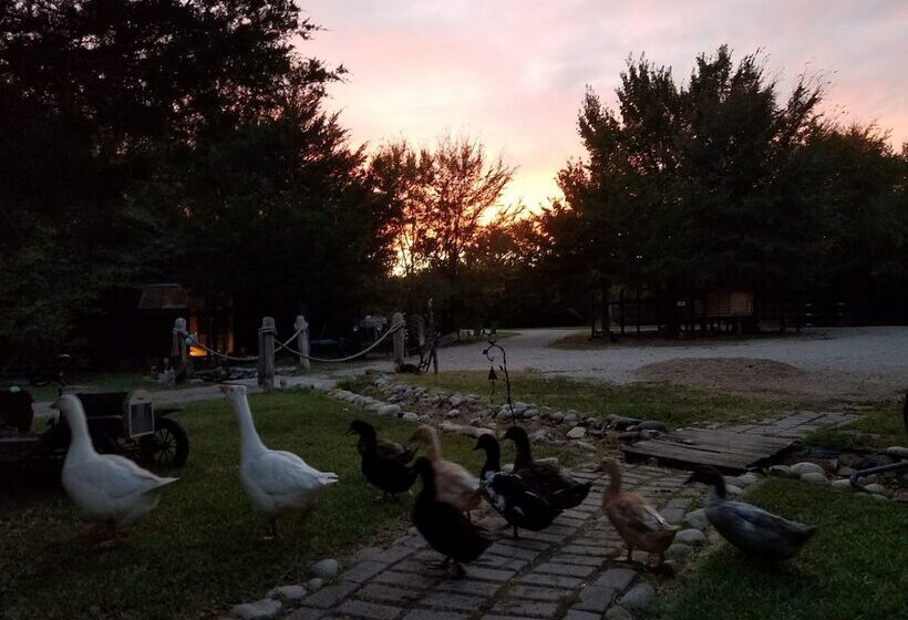 مبيت وإفطار Savannah S Meadow