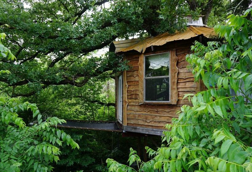 مبيت وإفطار Savannah S Meadow