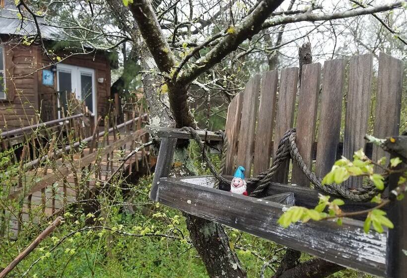 مبيت وإفطار Savannah S Meadow