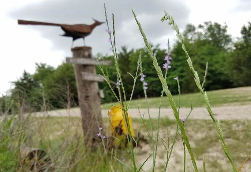 مبيت وإفطار Savannah S Meadow