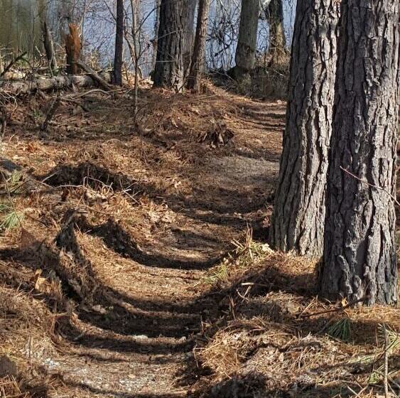 ベッドアンドブレックファースト Temple In The Woods