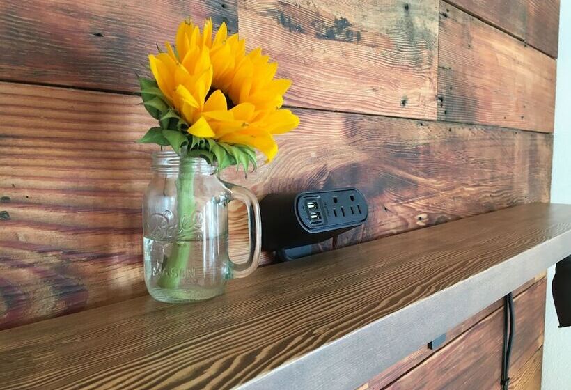 مبيت وإفطار The Alberta Petite