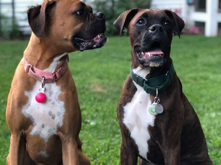 مبيت وإفطار The Lady Mary Inn