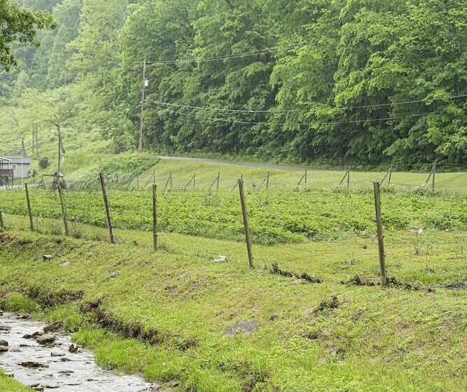 Country Road House And Berries Bed & Breakfast Farm Stay