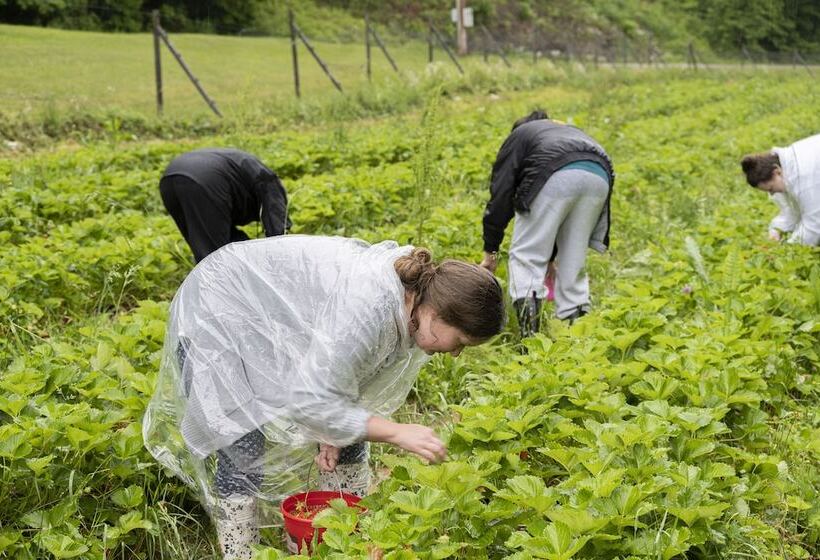 Country Road House And Berries Bed & Breakfast Farm Stay