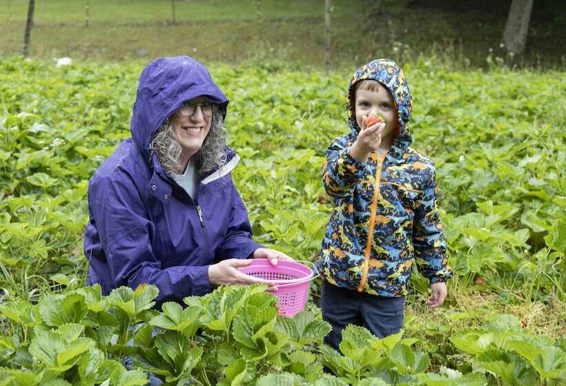 Country Road House And Berries Bed & Breakfast Farm Stay