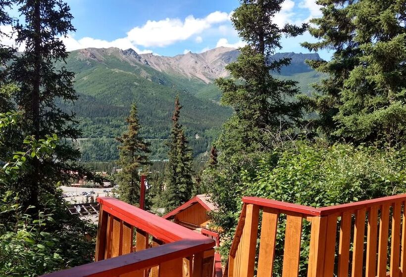 Denali Crow S Nest Cabins