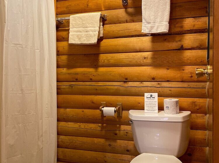 Denali Crow S Nest Cabins