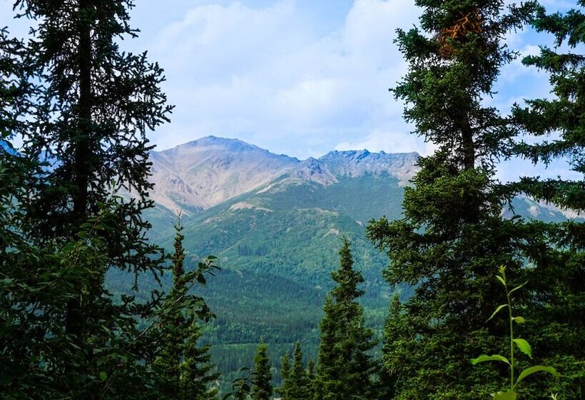 Denali Crow S Nest Cabins