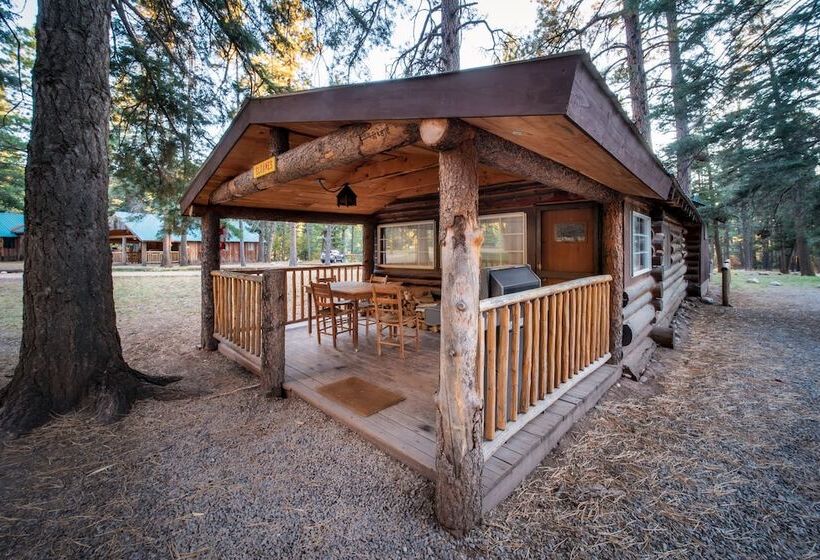 فندق Corkins Lodge