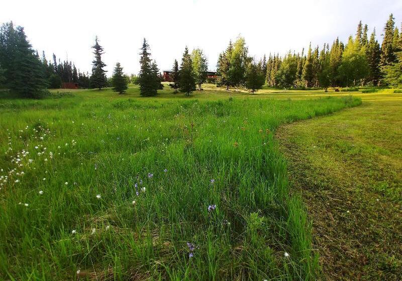 בית מלון כפרי Northern Sky Lodge