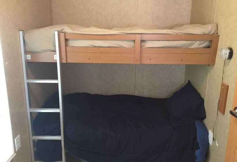 בית מלון כפרי Palmetto Oasis Rv Resort