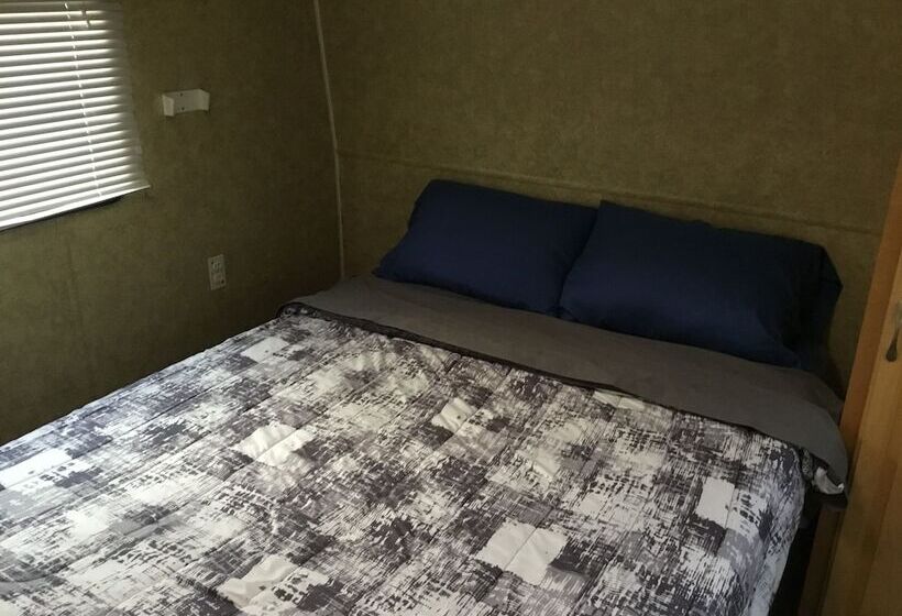 בית מלון כפרי Palmetto Oasis Rv Resort