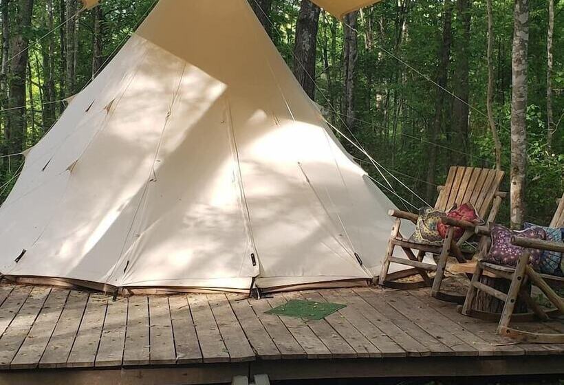 فندق Sassy Springs Retreat