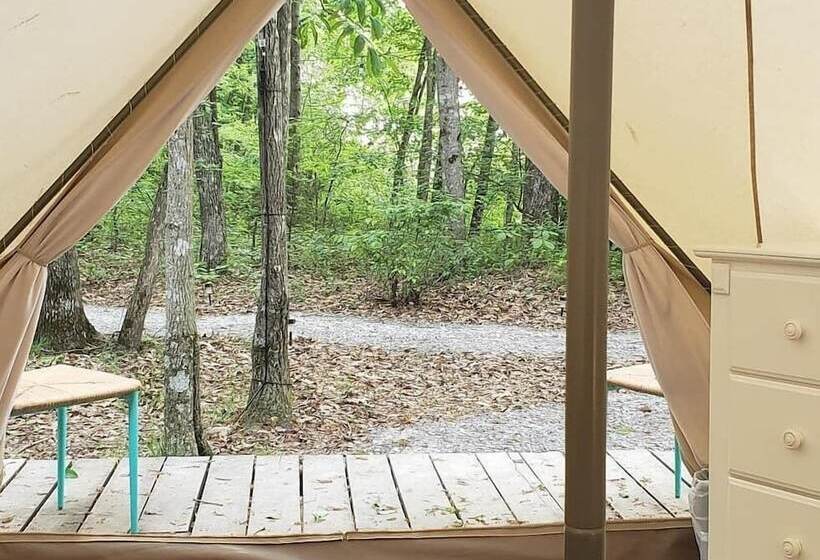 فندق Sassy Springs Retreat