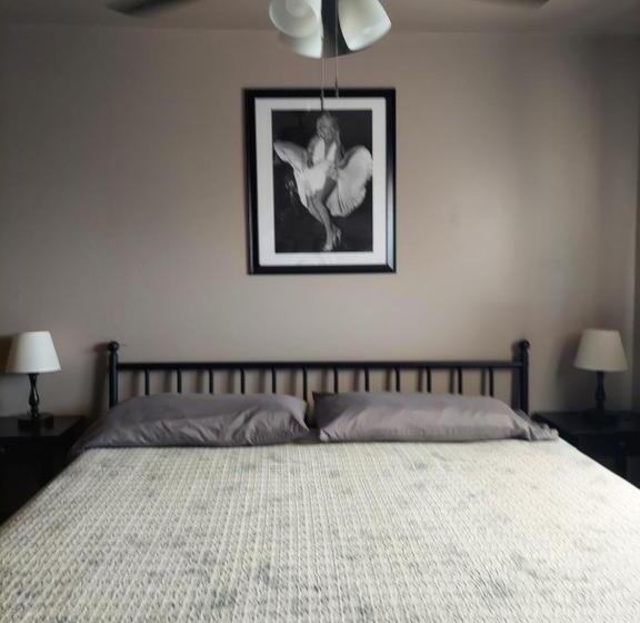 モーテル Cactus Inn