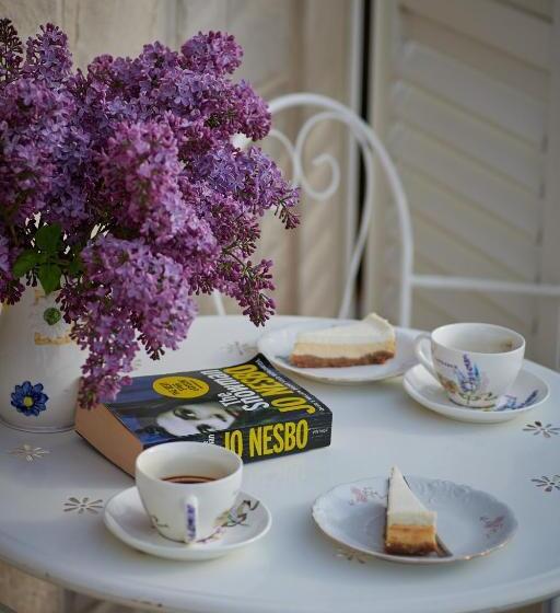 פנסיון Apartments Micika