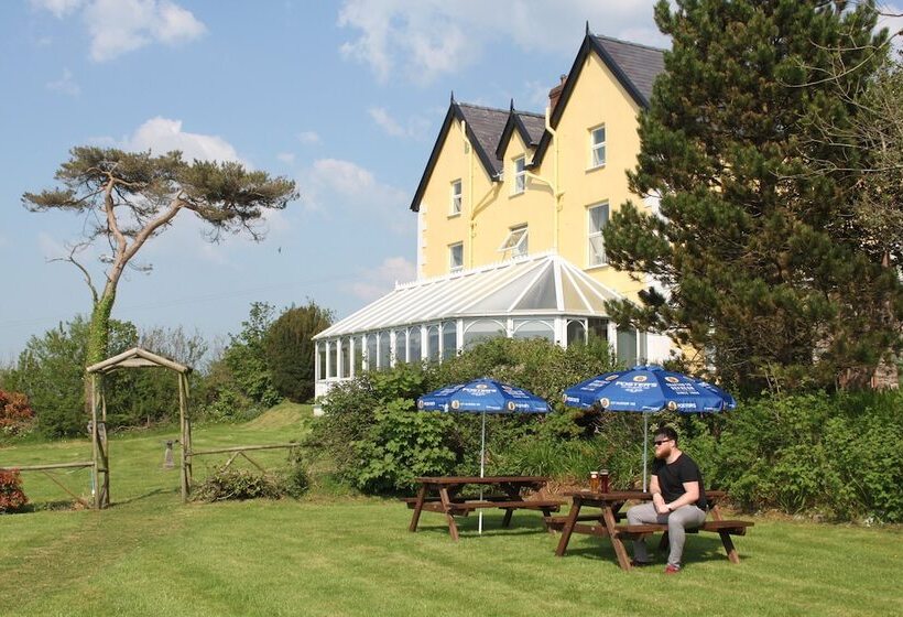 Пансион Bryn Eisteddfod B&b