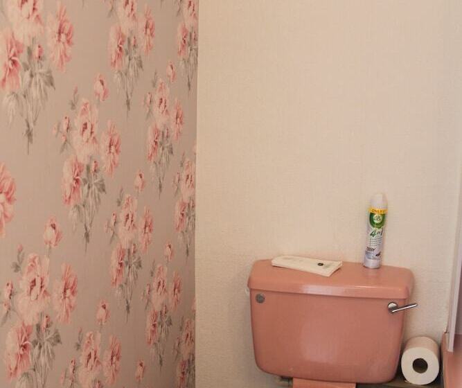 Пансион Bryn Eisteddfod B&b