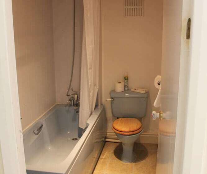 Пансион Bryn Eisteddfod B&b